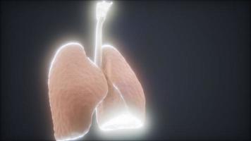 Animación 3d de pulmones humanos video