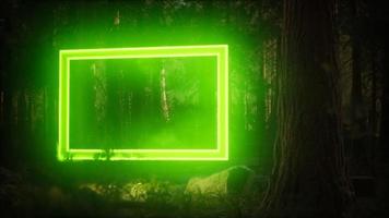 cornice rettangolare luminosa al neon nella foresta notturna video