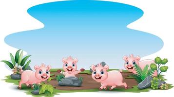 Group of pig playing on the field vector