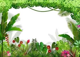Tropical background beautiful  .Vector vector