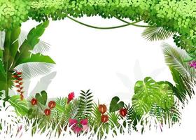 Tropical background beautiful .vector vector