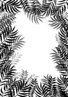 Palm leaves of frame background of silhouette vector