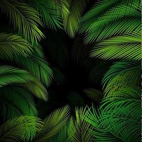 Exotic pattern with tropical leaves on a black background.vector vector