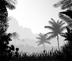 el paisaje forestal de niebla con palmera vector