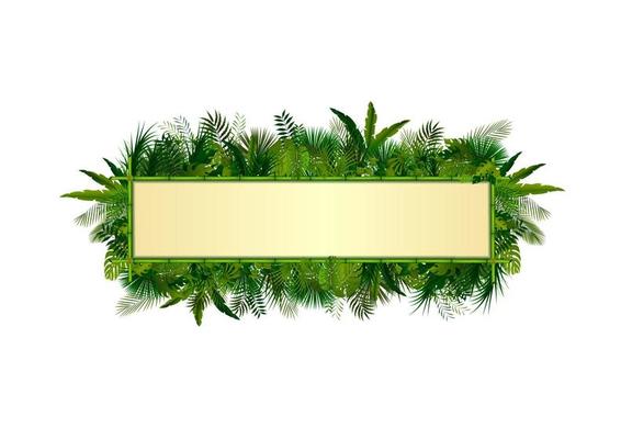 Tropical plants background. rectangle floral frame with space for text in concept bamboo .Vector