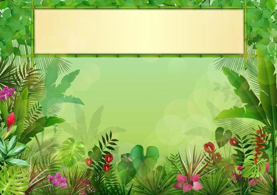 Tropical background with rectangle floral frame in concept bamboo