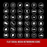 Flat Social Media Networking Icons vector