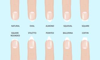 manicura moda más popular formas de uñas estilo plano ilustración vectorial conjunto aislado fondo azul claro. vector