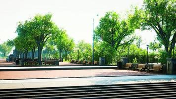 rustig park in de stad video