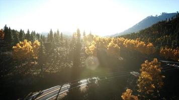 vista aerea del drone volo sopra la foresta di pini in montagna al tramonto video