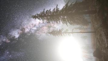 galaxie de la voie lactée au-dessus de la forêt video