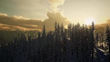 fantastique paysage d'hiver en soirée video