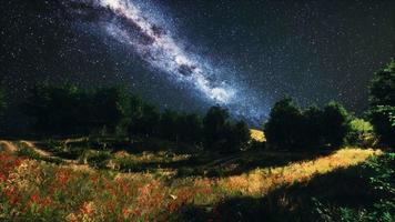 bosques de árboles verdes en el parque bajo el cielo estrellado de la noche video