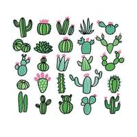 conjunto de plantas de cactus. vector colorido dibujado a mano ilustración de boceto de contorno aislado sobre fondo blanco. cactus sin macetas.