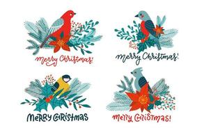 Titmous and red cardinal on holly branch eating berries winter set. Christmas decoration. Isolated concepts with lettering quotes Vector flat cartoon illustration isolated on white