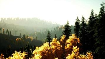 coucher de soleil lumineux dans les montagnes avec forêt video