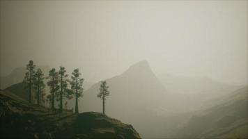 foresta nebbiosa sul pendio della montagna video