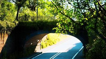 arch bridge with living bush branches in park video