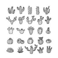 Set of cacti in trendy mono line style - art deco. It can be used as a stamp, postcard or print. Outlined vector cactuses illustration. Desert flowers withoup pots.