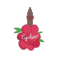 Lychee fruit bunch on tree branch with leaves. Hand drawn colorful flat vector illustration with lettering text.