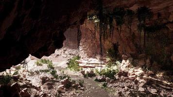 vista desde el interior de una cueva oscura con plantas verdes y luz en la salida