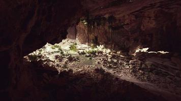 vista de dentro de uma caverna escura com plantas verdes e luz na saída video