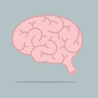 Brain vector illustration.