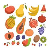 cuajado de frutos grandes. diseño de vector plano moderno. objetos aislados. iconos de frutas. colección de ilustraciones dibujadas a mano.