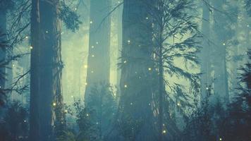 luces de luciérnaga de fantasía en el bosque mágico