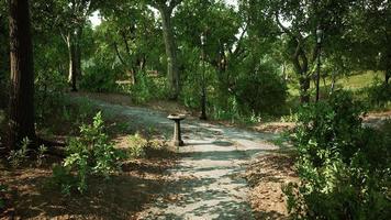 an empty closed Park during the covid-19 pandemic in 2020 video