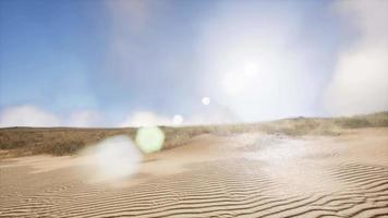 Erg Chebbi Dunes in the Sahara Desert video