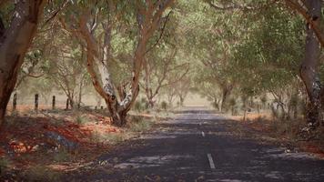 strada aperta in australia con alberi a cespuglio video