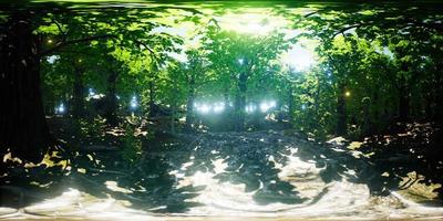 vr 360 luciole volant dans la forêt video