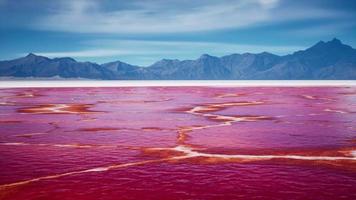 Beautiful view of pink lake on summer day video