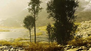 paisagem cênica com falésias íngremes e árvores durante um dia ensolarado video