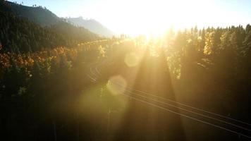 Vôo de vista aérea de drone sobre floresta de pinheiros na montanha ao pôr do sol video