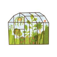 Plants growing inside glass greenhouse. Glasshouse or botanical garden. Concept of home gardening. Modern flat vector illustration.