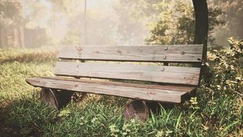 Wooden bench in nature by the tree video