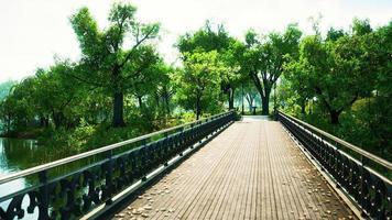 8k oude brug in park in de zomer video