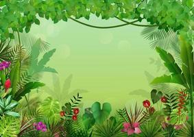 Tropical background beautiful .Vector vector