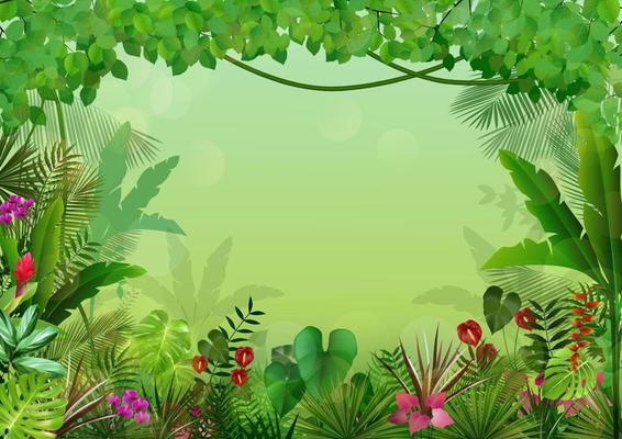 Tropical background beautiful .Vector