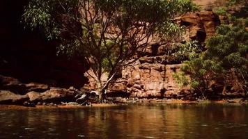 lac powell à une journée ensoleillée en été video