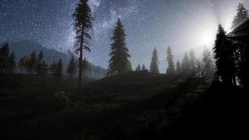 estrelas da via láctea com luar acima da floresta de pinheiros video