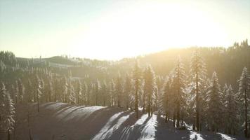 Colorful Winter Sunrise in the Mountains video