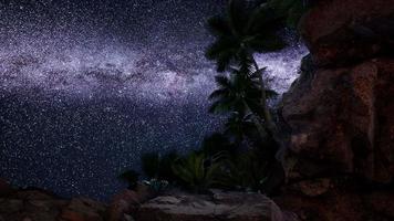 Sentiers d'étoiles hyperlapse 4k sur les murs et les palmiers du canyon de grès video