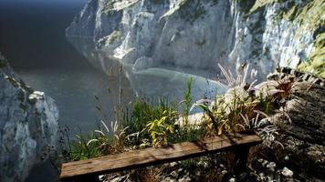 frisches gras an der großen felsenklippe im ozean video