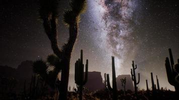 The Milky Way above the Utah desert, USA