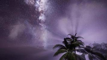 Milchstraßengalaxie über tropischem Regenwald. video