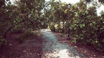 an empty closed Park during the covid-19 pandemic in 2020 video