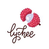 Summer tropical fruits for healthy lifestyle. Open Lychee fruit. Vector illustration cartoon flat icon isolated on white with lettering text